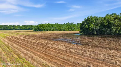 28 Acres Harmon Pope Rd, Lucedale, MS 39452 photo 39