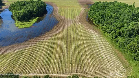 28 Acres Harmon Pope Rd, Lucedale, MS 39452 photo 32