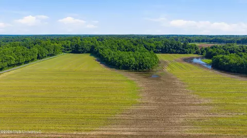 28 Acres Harmon Pope Rd, Lucedale, MS 39452 photo 22