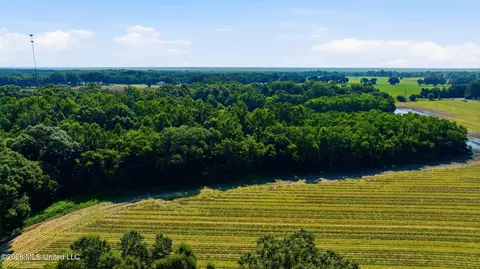 28 Acres Harmon Pope Rd, Lucedale, MS 39452 photo 31