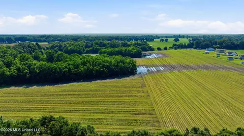 28 Acres Harmon Pope Rd, Lucedale, MS 39452 photo 26