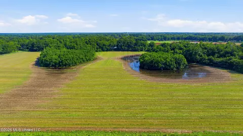 28 Acres Harmon Pope Rd, Lucedale, MS 39452 photo 17