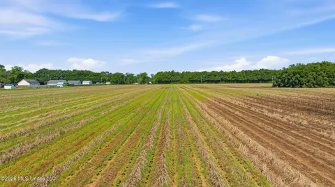 28 Acres Harmon Pope Rd, Lucedale, MS 39452 photo 38