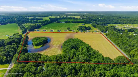 28 Acres Harmon Pope Rd, Lucedale, MS 39452 photo 8