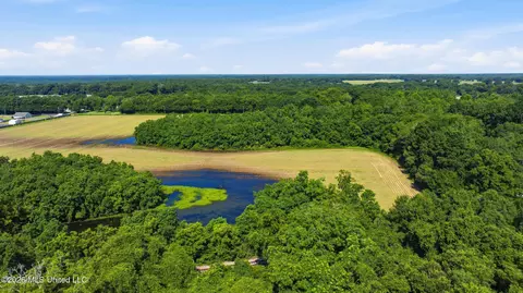 28 Acres Harmon Pope Rd, Lucedale, MS 39452 photo 35