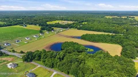 28 Acres Harmon Pope Rd, Lucedale, MS 39452 photo 13