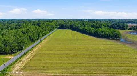 28 Acres Harmon Pope Rd, Lucedale, MS 39452 photo 23