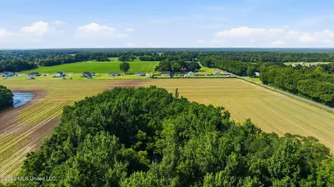 28 Acres Harmon Pope Rd, Lucedale, MS 39452 photo 28