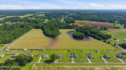 28 Acres Harmon Pope Rd, Lucedale, MS 39452 photo 5