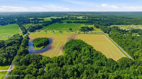28 Acres Harmon Pope Rd, Lucedale, MS 39452 photo 7