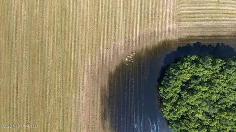 28 Acres Harmon Pope Rd, Lucedale, MS 39452 photo 20
