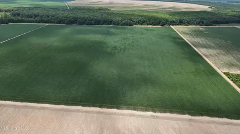 County Road 553, Morgan City, MS 38946