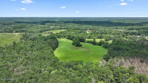 Hosey Road, Magee, MS 39111 photo 25