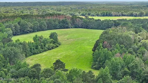 Hosey Road, Magee, MS 39111 photo 8