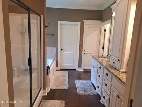 Bath - 1130 Sanctuary Dr, Brandon, MS 39042 photo 1 of 2