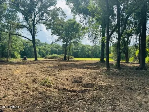 4 55 Acres Hwy 63, Lucedale, MS 39452