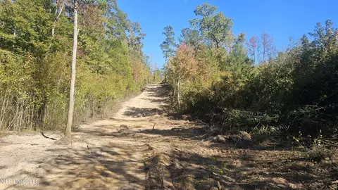Sturgis Road, Louisville, MS 39339