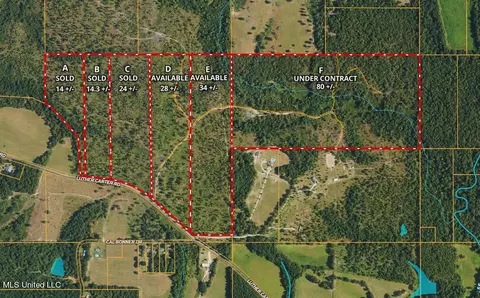 Parcel F 80 +/- Acres Luther Carter Road, Petal, MS 39465