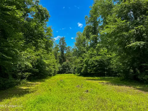 0 Star Road Rd, Brandon, MS 39042 photo 31