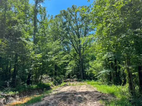 0 Star Road Rd, Brandon, MS 39042 photo 47