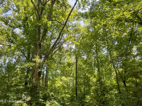 0 Star Road Rd, Brandon, MS 39042 photo 32