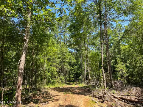 0 Star Road Rd, Brandon, MS 39042 photo 8