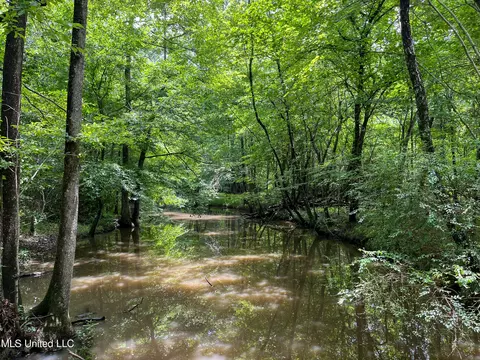 0 Star Road Rd, Brandon, MS 39042 photo 18