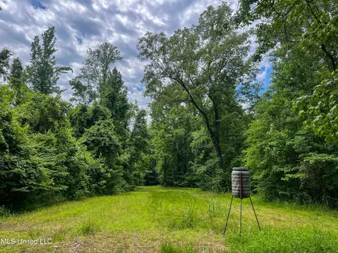 0 Star Road Rd, Brandon, MS 39042 photo 25