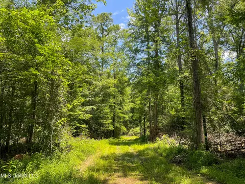 0 Star Road Rd, Brandon, MS 39042 photo 48