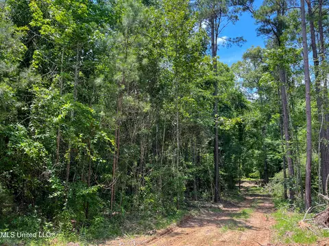 0 Star Road Rd, Brandon, MS 39042 photo 61