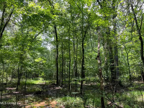 0 Star Road Rd, Brandon, MS 39042 photo 19