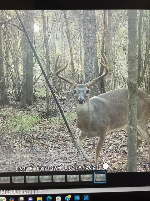 0 Star Road Rd, Brandon, MS 39042 photo 15