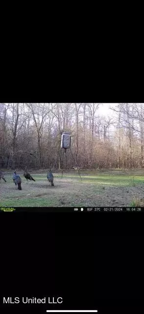 0 Star Road Rd, Brandon, MS 39042 photo 60