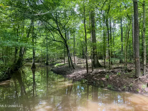 0 Star Road Rd, Brandon, MS 39042 photo 51