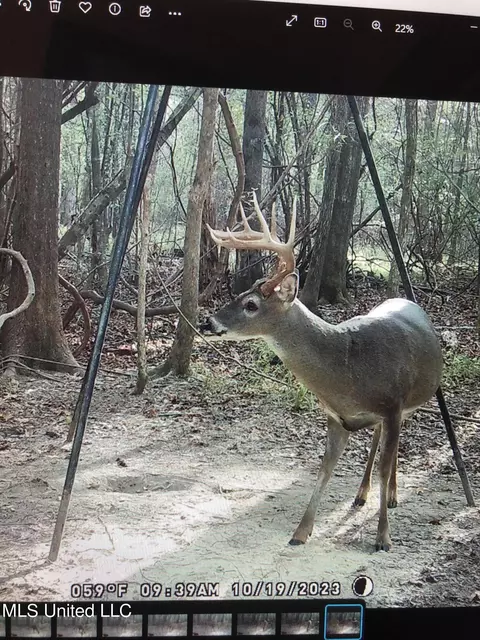 0 Star Road Rd, Brandon, MS 39042 photo 58
