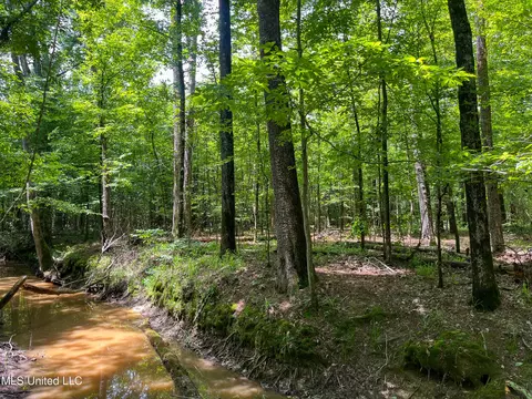0 Star Road Rd, Brandon, MS 39042 photo 50