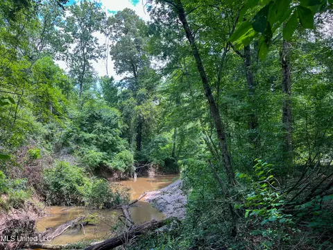 0 Star Road Rd, Brandon, MS 39042 photo 53