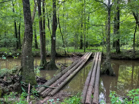 0 Star Road Rd, Brandon, MS 39042 photo 46
