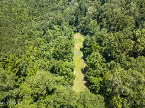 0 Star Road Rd, Brandon, MS 39042 photo 30