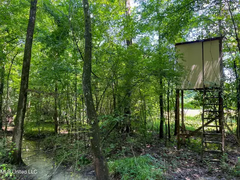 0 Star Road Rd, Brandon, MS 39042 photo 13