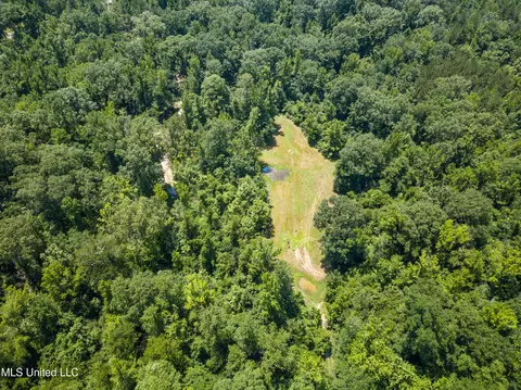 0 Star Road Rd, Brandon, MS 39042 photo 42