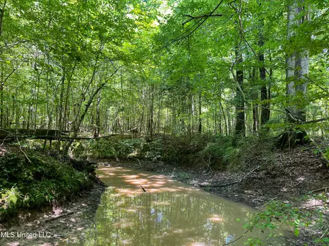 0 Star Road Rd, Brandon, MS 39042 photo 14