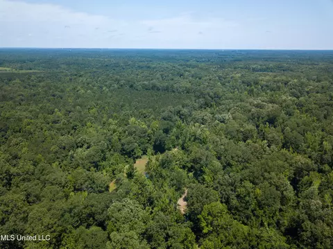 0 Star Road Rd, Brandon, MS 39042 photo 10