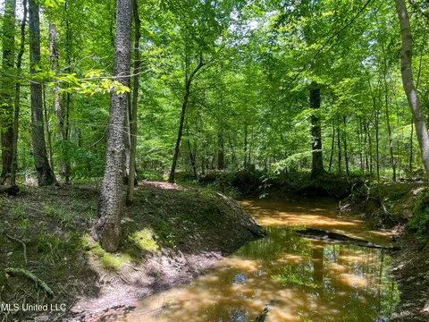 0 Star Road Rd, Brandon, MS 39042