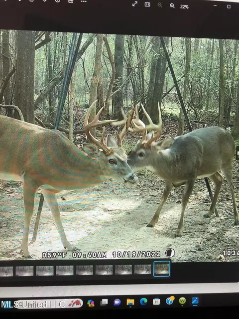 0 Star Road Rd, Brandon, MS 39042 photo 38