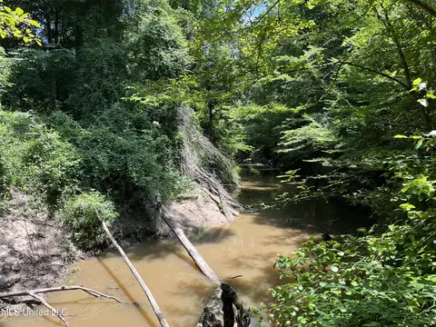 0 Star Road Rd, Brandon, MS 39042 photo 56