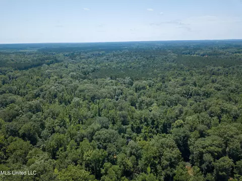 0 Star Road Rd, Brandon, MS 39042 photo 35