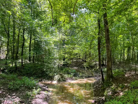 0 Star Road Rd, Brandon, MS 39042 photo 39