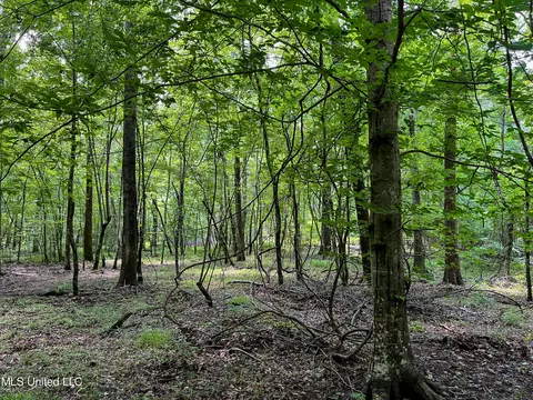 0 Star Road Rd, Brandon, MS 39042 photo 57