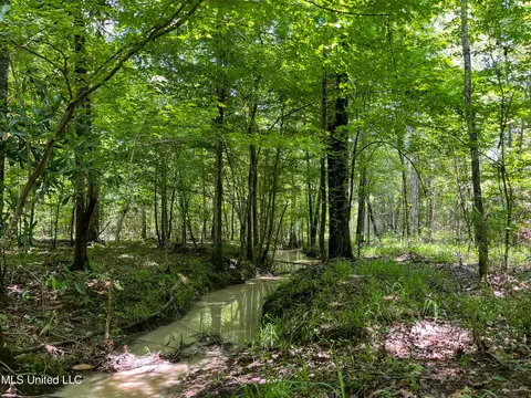 0 Star Road Rd, Brandon, MS 39042 photo 49